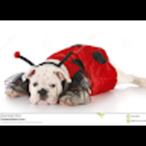 Meet your Posher, Dianna